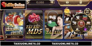 Tool Đánh Tài Xỉu Online Có Thực Sự Hiệu Quả Như Lời Đồn?